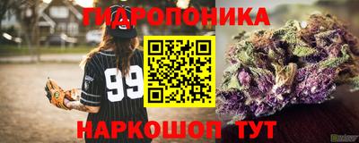 крисы Пыть-Ях