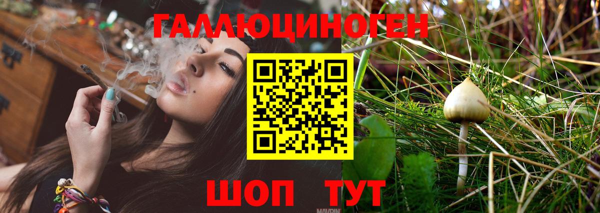 Псилоцибиновые грибы GOLDEN TEACHER Глазов